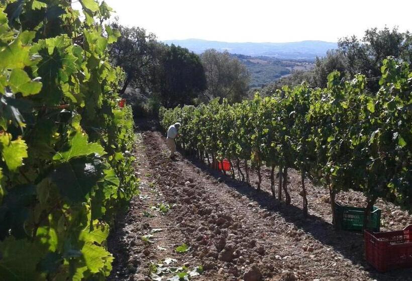 דירת שני חדרים, Agriturismo Belvedere Di Pierini E Brugi