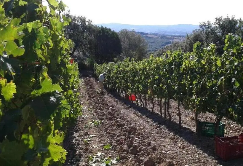 Huoneisto 2 Makuuhuonetta, Agriturismo Belvedere Di Pierini E Brugi
