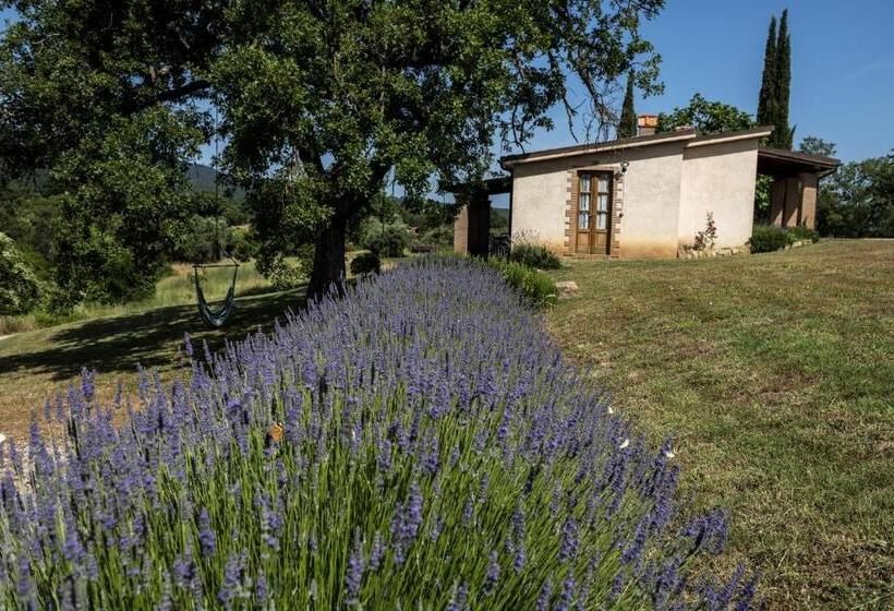 Апартаменты 2 Спальни, Agriturismo Belvedere Di Pierini E Brugi