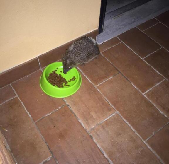 Апартаменты 1 Спальня, Agriturismo L'isola