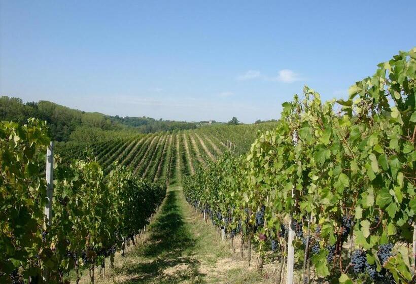 스탠다드 싱글 룸, Marchesi Incisa Winery Lodge