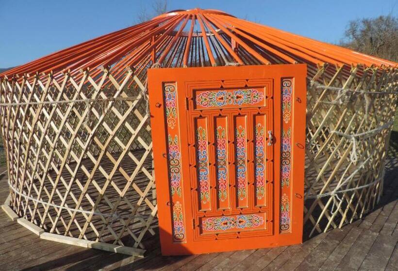 Standard Tent, Società Agricola Cacigolara