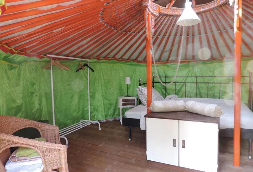 Standard Tent, Società Agricola Cacigolara