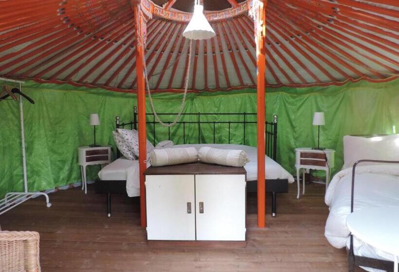Standard Tent, Società Agricola Cacigolara