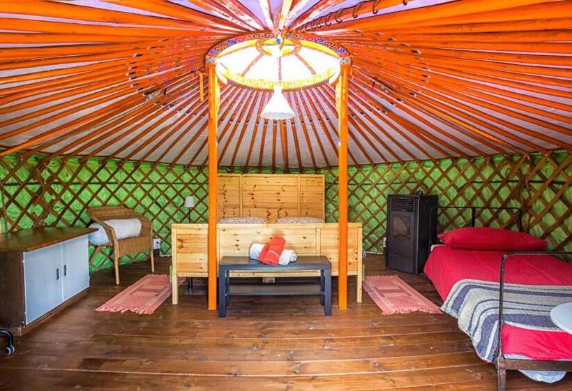 Standard Tent, Società Agricola Cacigolara