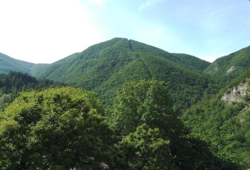 דירת חדר, Residence Giardino