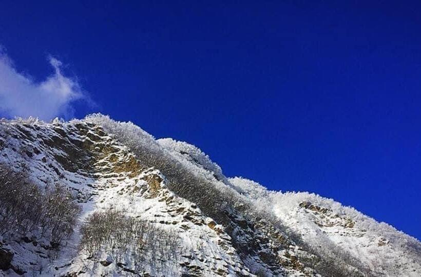 חדר סטודיו סטנדרד, Residence Giardino