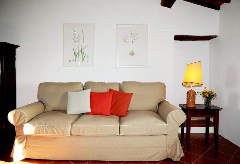 آپارتمان 1 خوابه, Agriturismo Naioli