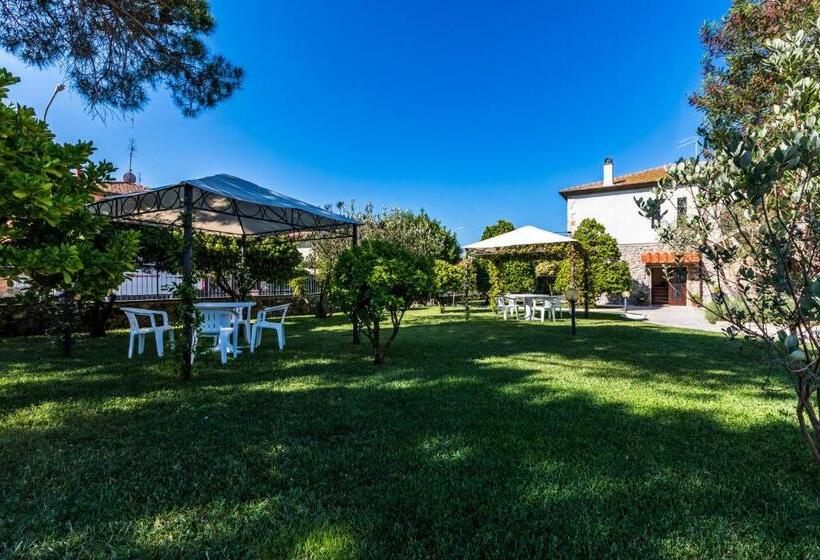 Номер Basic, Da Milena