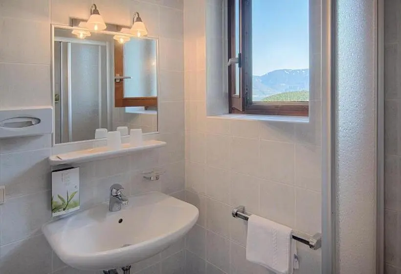 Standard-huone Parveke, Pension Christl