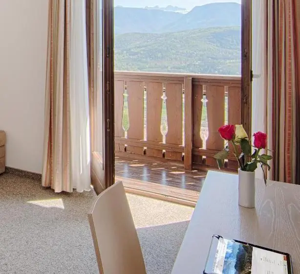 Standard Yhden Hengen Huone Parveke, Pension Christl