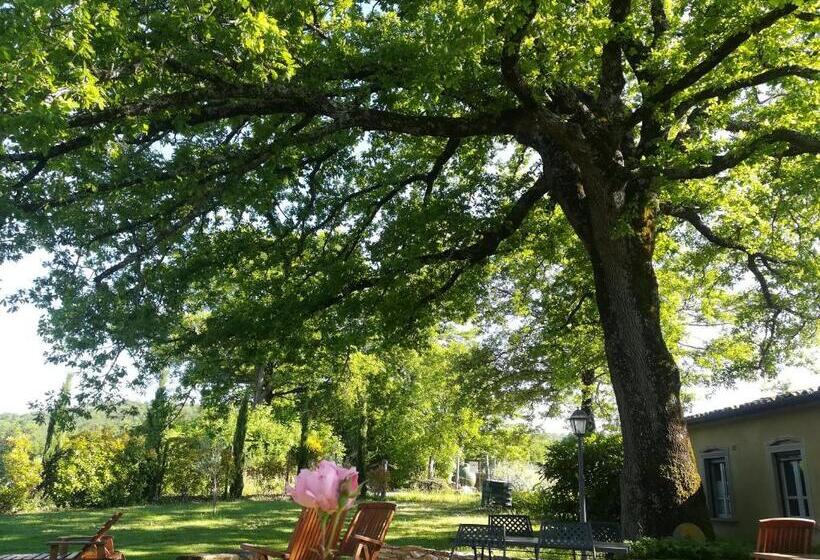 침실 2개 아파트, Agriturismo La Scarpaia