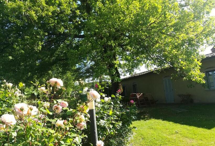 침실 2개 아파트, Agriturismo La Scarpaia