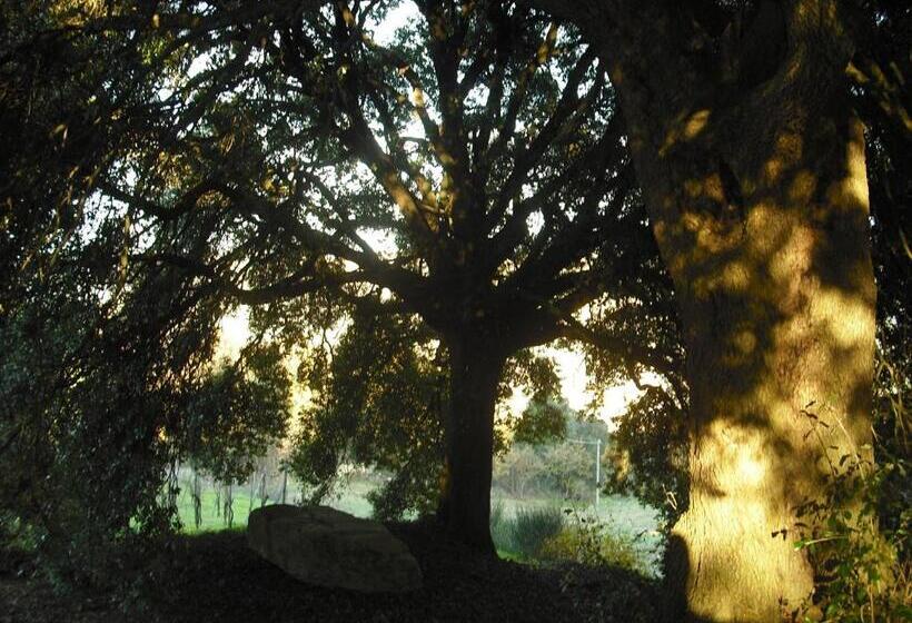 침실 1개 아파트, Agriturismo La Scarpaia