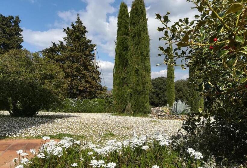Номер Стандарт Трехместный, Agriturismo La Scarpaia