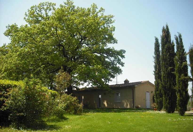 스탠다드 트리플 룸, Agriturismo La Scarpaia