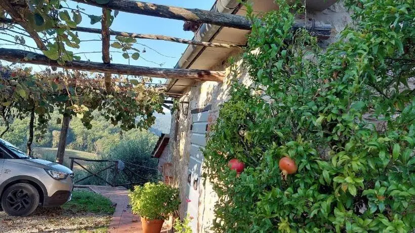 سوییت جونیور, Agriturismo La Scarpaia