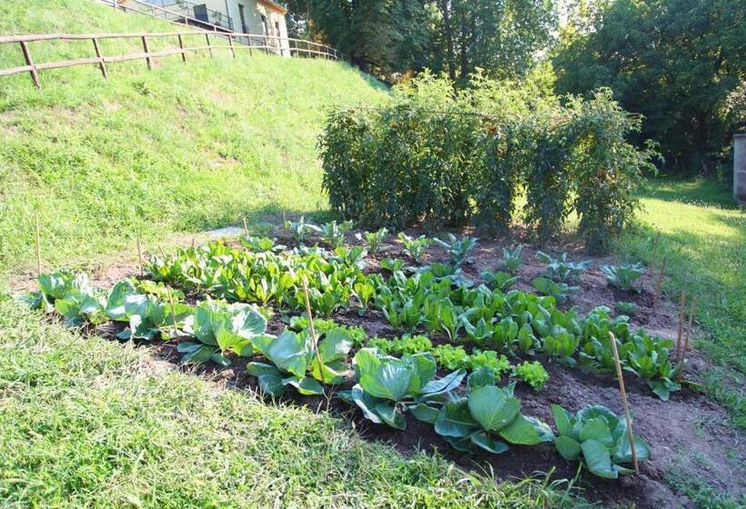 スタンダードルーム, Corte Attilea