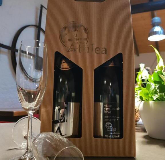 1ベッドルームハウス, Corte Attilea