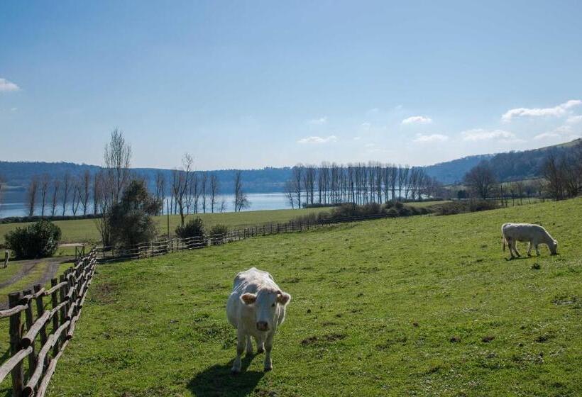1 Bedroom Apartment Lake View, Il Castoro Di Martignano