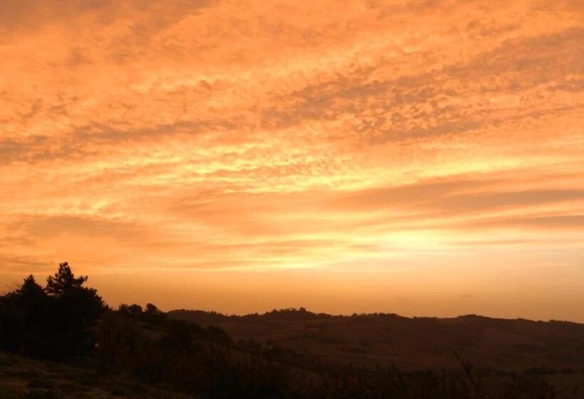 스탠다드 룸, Il Ghiandolino