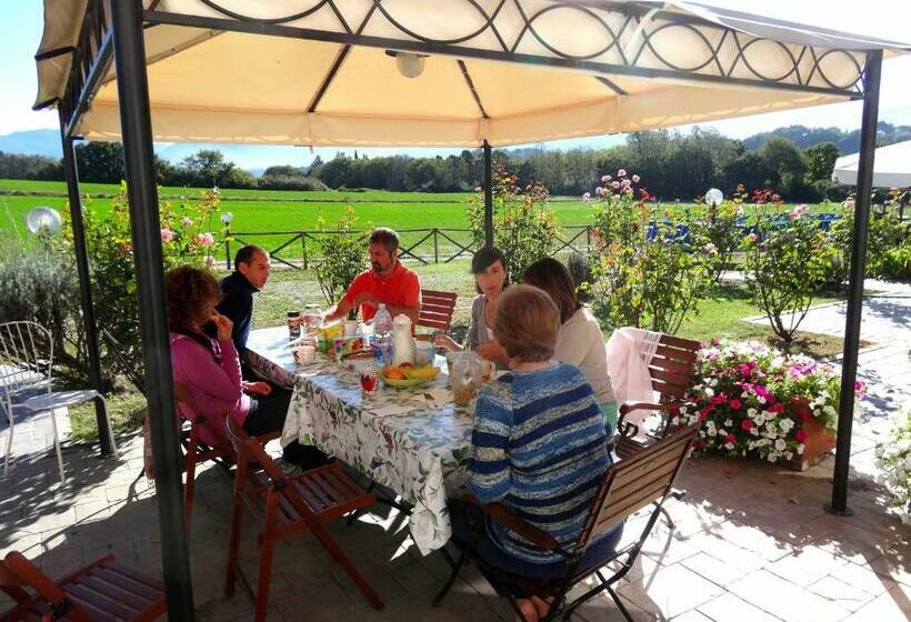 דירת שני חדרים, Valle Degli Arci