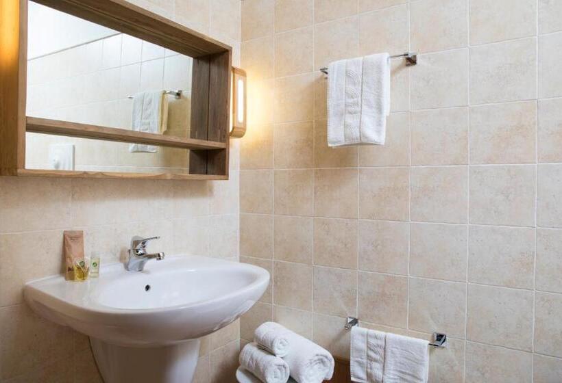 スタンダードシングルルーム, S'anninnia