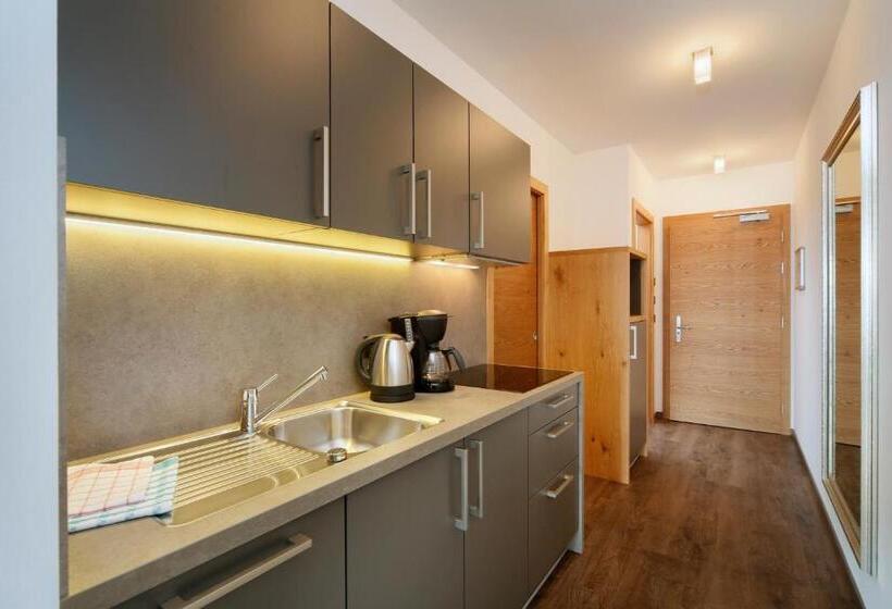 Апартаменты 1 Спальня, Appartement Hotel Beatenhof