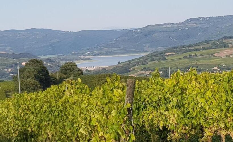 带1个卧室的公寓, Casa Vacanza Malescale