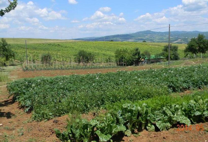 标准工作室, Casa Vacanza Malescale