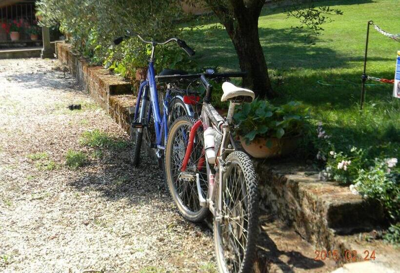 标准工作室, Casa Vacanza Malescale