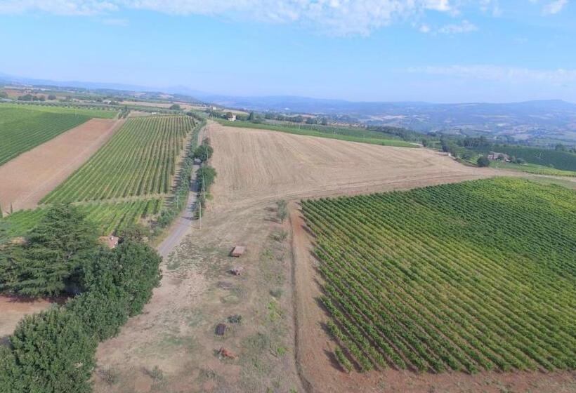 带1个卧室的公寓, Casa Vacanza Malescale