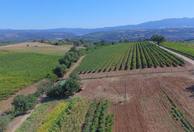 带1个卧室的公寓, Casa Vacanza Malescale