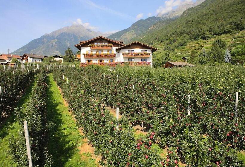 חדר סטנדרט, Garni & Residence Sonngart