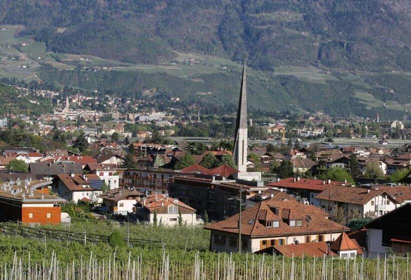 חדר סטודיו סטנדרד, Garni & Residence Sonngart