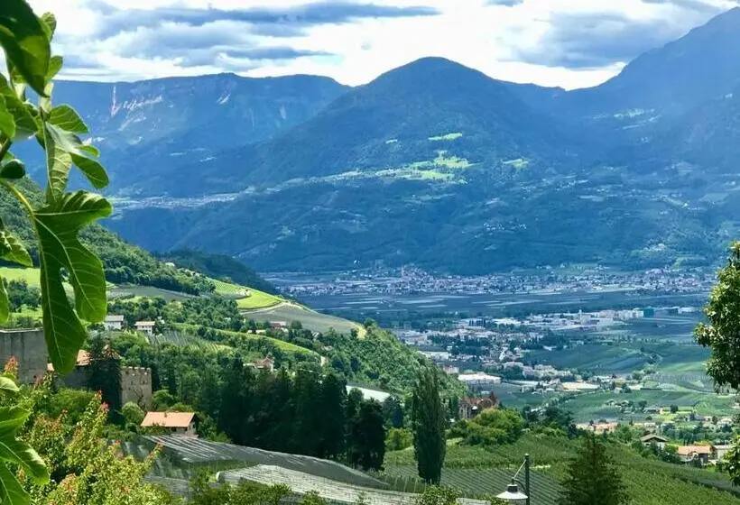 اتاق اکونومی, Pension Chalet Andy