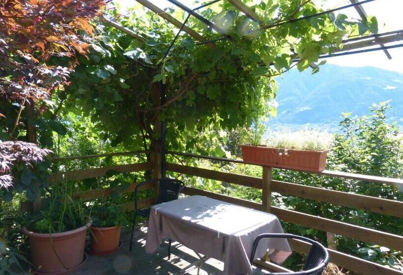 Апартаменты 1 Спальня с Террасой, Pension Chalet Andy