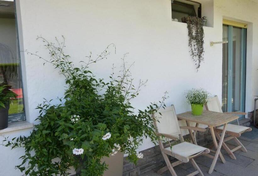 Апартаменты 1 Спальня с Террасой, Pension Chalet Andy