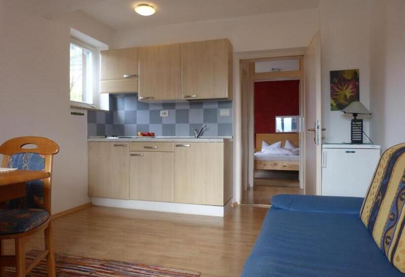 Апартаменты 1 Спальня с Террасой, Pension Chalet Andy