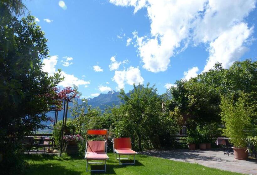 Апартаменты 1 Спальня с Террасой, Pension Chalet Andy