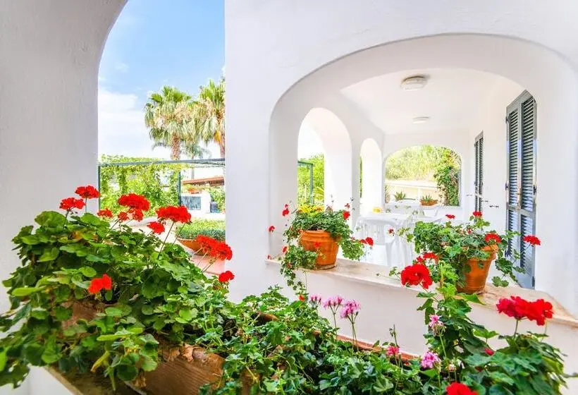 １ベッドルームアパートメント, Residence San Domenico