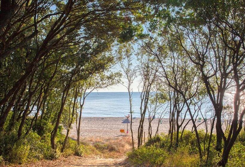 إستوديو قياسى مزودة بتراس, Bagheera Village Naturiste