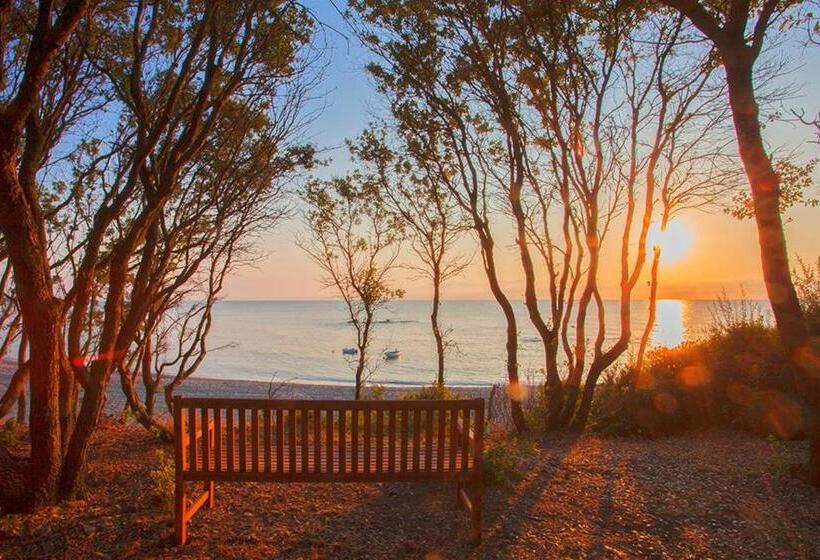 ‫فيلا غرفة نوم واحدة, Bagheera Village Naturiste