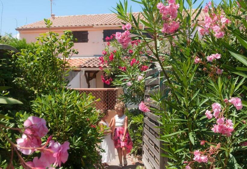 شقة غرفة واحدة, Résidence Goélia Sun Village