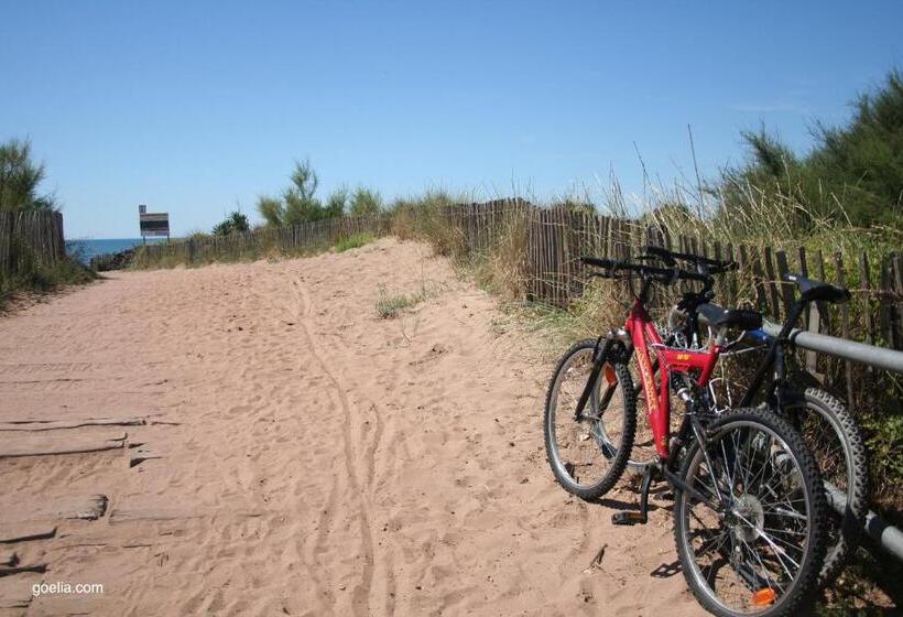 شقة غرفة واحدة, Résidence Goélia Sun Village