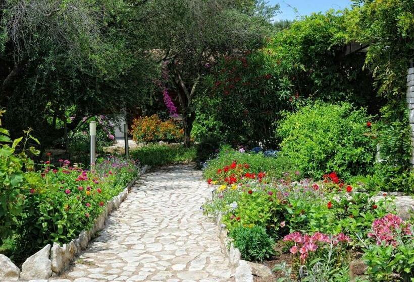 舒适型房间, Poisson Rouge