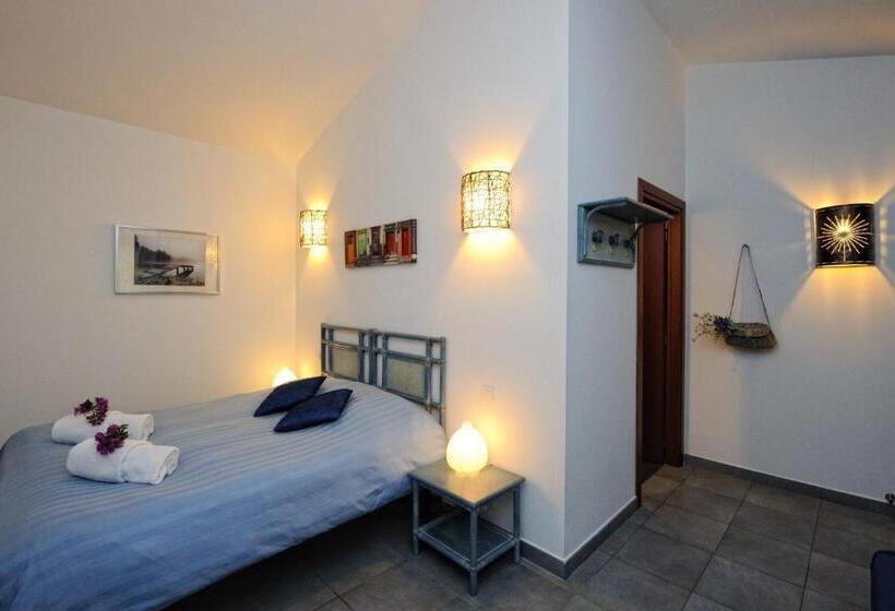 舒适型房间, Poisson Rouge