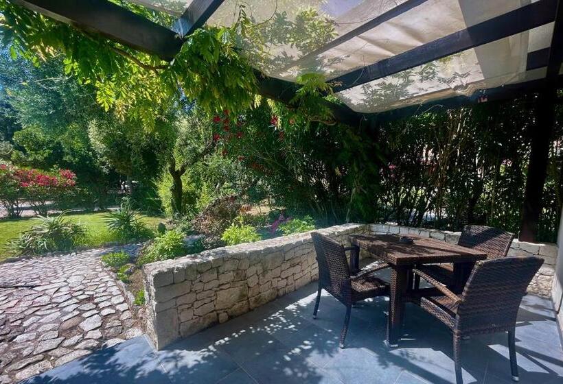 舒适型房间, Poisson Rouge