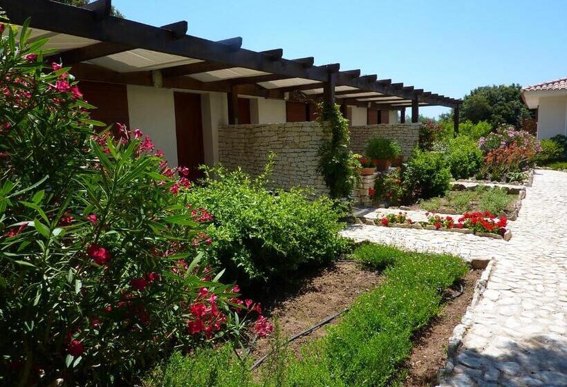 舒适套房, Poisson Rouge