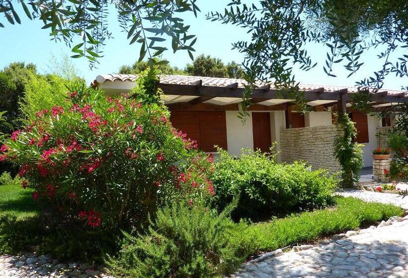 舒适套房, Poisson Rouge